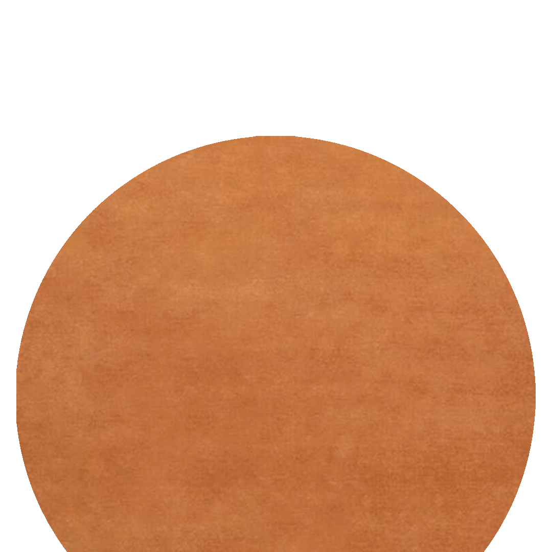 img-orange-circle
